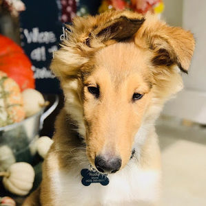 Meet your Posher, Julia